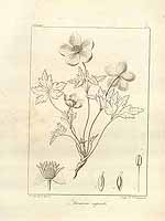  no thumbnail available