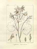  no thumbnail available