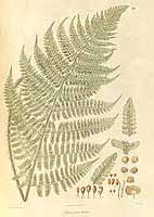  no thumbnail available