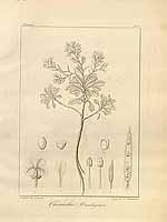  no thumbnail available