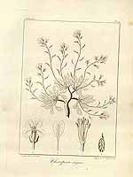  no thumbnail available