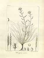  no thumbnail available