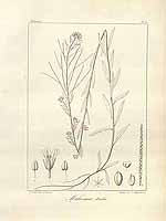  no thumbnail available