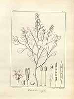  no thumbnail available