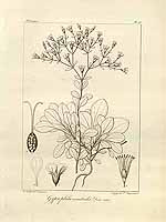  no thumbnail available