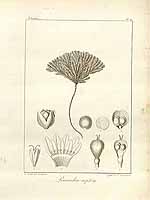  no thumbnail available