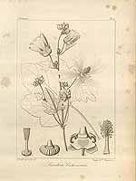  no thumbnail available