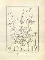  no thumbnail available