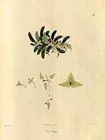  no thumbnail available