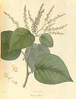  no thumbnail available