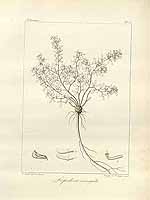  no thumbnail available