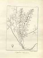  no thumbnail available