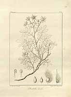  no thumbnail available