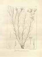  no thumbnail available