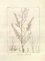  no thumbnail available