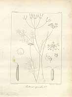  no thumbnail available