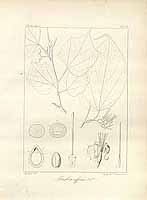  no thumbnail available