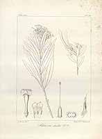  no thumbnail available