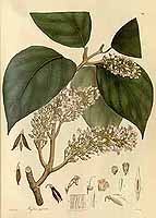  no thumbnail available