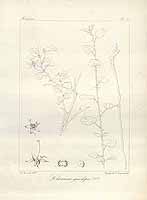  no thumbnail available