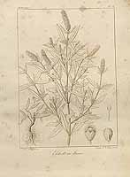  no thumbnail available