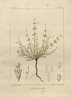  no thumbnail available