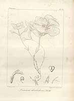  no thumbnail available