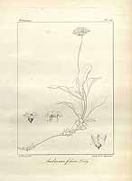  no thumbnail available