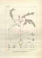  no thumbnail available