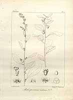  no thumbnail available