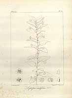  no thumbnail available