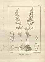  no thumbnail available