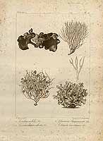  no thumbnail available