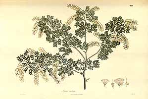  no thumbnail available