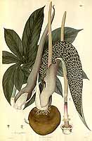  no thumbnail available