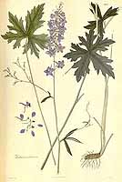  no thumbnail available