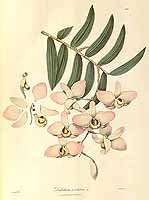  no thumbnail available