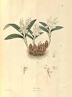  no thumbnail available