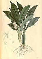  no thumbnail available