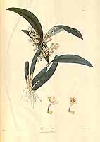  no thumbnail available