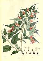  no thumbnail available