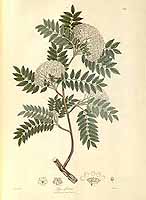  no thumbnail available