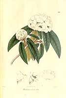  no thumbnail available