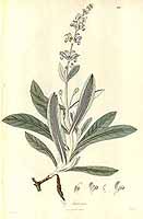  no thumbnail available