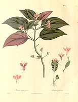  no thumbnail available