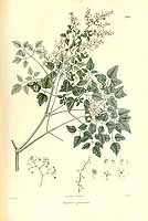  no thumbnail available