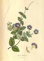  no thumbnail available