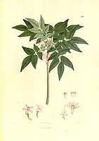  no thumbnail available