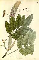  no thumbnail available