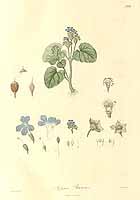  no thumbnail available